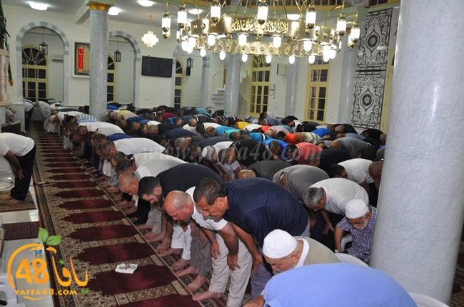 nozha mosqueqk (5).JPG